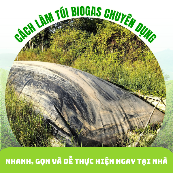 Cách làm túi biogas nhanh, gọn và dễ thực hiện ngay tại nhà